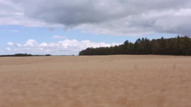 Drone uçuşu buğday tarlası ve tarım arazisi üzerinde