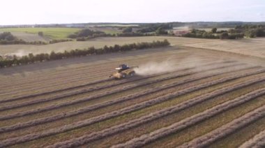 Tarladaki mahsulleri hasat eden İHA uçuşu