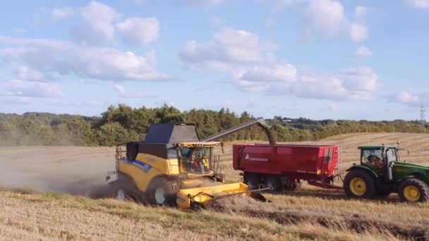 Drone Tracking Combine And Tractor Harvesting Crops — Stock Video