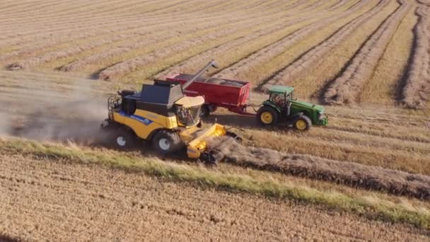 Drohne über Mähdrescher und Traktor bei der Ernteernte — Stockvideo