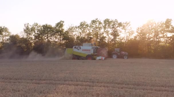 Drone Over Combine and Tractor Harvesting Sunset Crops — стоковое видео