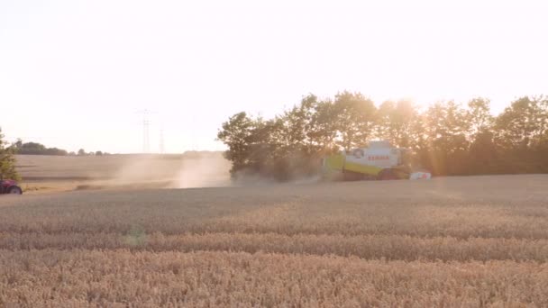 Dron nad kombinací a sklizeň traktoru — Stock video