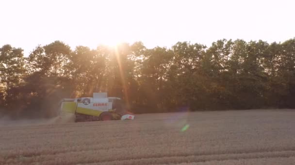 Kombinovat sklizeň polních plodin při západu slunce — Stock video