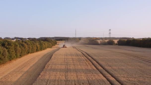 Drone sur le champ avec combiner les cultures de récolte — Video