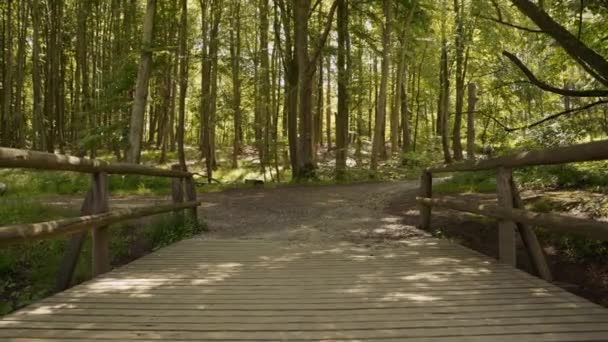 Mountainbiker stürzt auf Brücke im Wald — Stockvideo