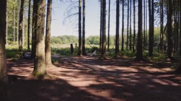Горные байкеры едут из леса в поле — стоковое видео