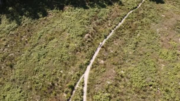 Drone Shot rowerzysty jazdy przez pole — Wideo stockowe