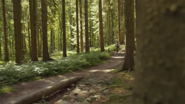 Mountainbiker radeln auf Feldweg im Wald — Stockvideo