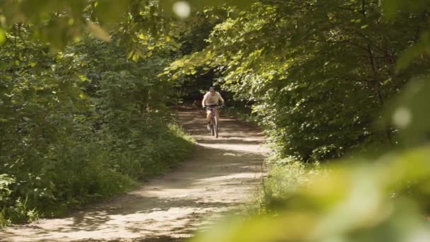 Biciclista de montanha de bicicleta na floresta — Vídeo de Stock