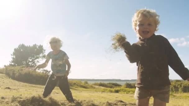 Tout-petit jetant l'herbe à la caméra dans la prairie — Video