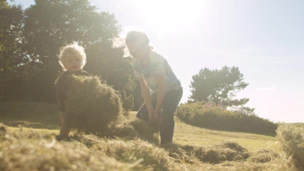 Meninos brincando no prado ensolarado — Vídeo de Stock