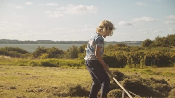 Chłopiec za pomocą grabie do zbierania trawy na łące — Wideo stockowe