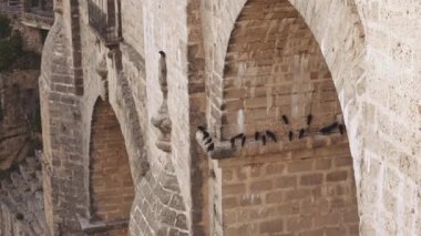 Ronda 'da Ponte Nuevo' da tüneyen kargalar