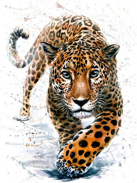 Acuarela Leopardo Jaguar Naturaleza Gran Gato Print Animal Dibujo Aislado — Foto de Stock