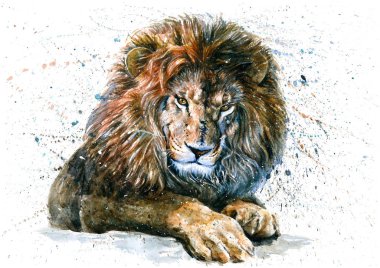 Aslan, hayvanlar, suluboya, vahşi, kedi, predator, Kral