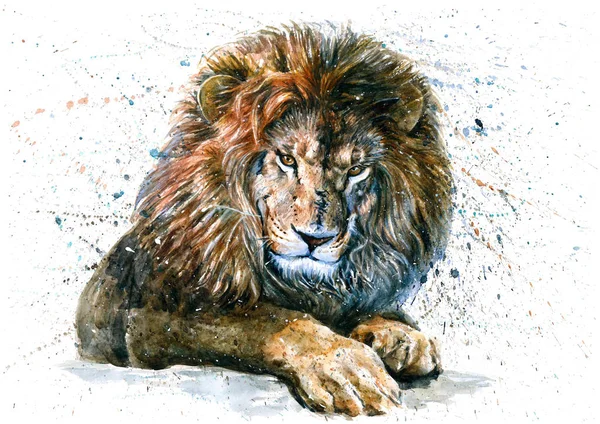 Lev Zvířata Akvarel Divoký Kočka Dravec Král — Stock fotografie