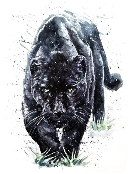 Kara Panter Suluboya Resim Hayvanlar Yabani Hayvanlar Bitkiler Predator Puma — Stok fotoğraf