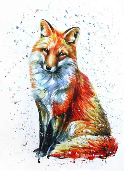 Fox Acuarela Pintura Vida Silvestre Animales Vida Silvestre —  Fotos de Stock