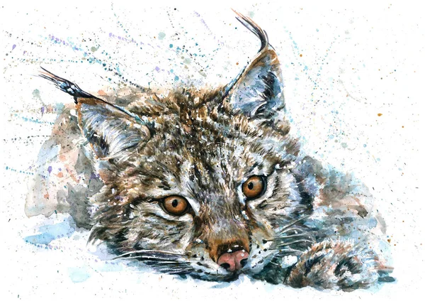 Lynx Ακουαρέλα Ζωγραφική Άγρια Ζώα Αρπακτικό Εικόνα Αρχείου