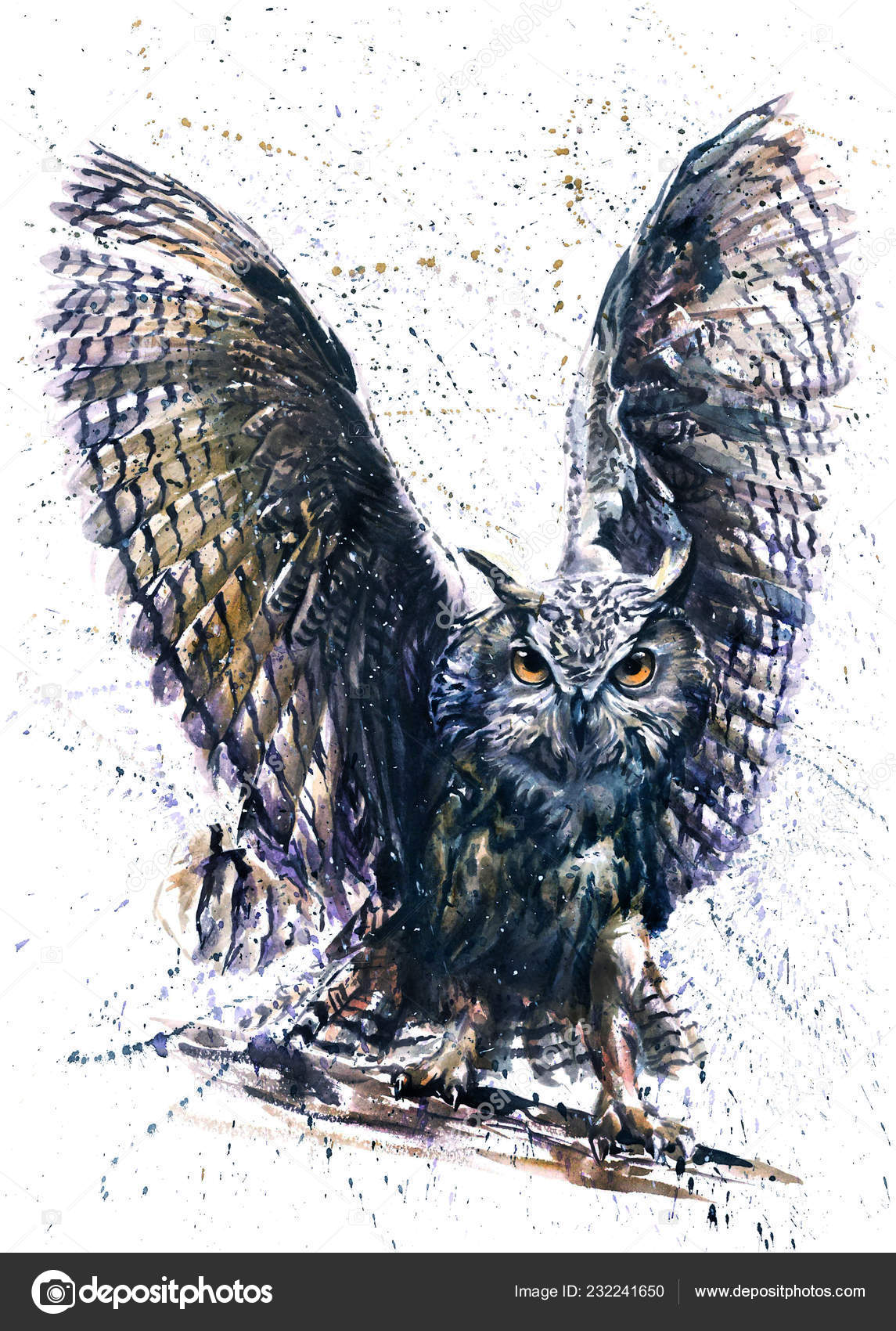 Nocturnal Bird painting Owls Bird Original watercolor art
