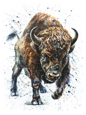 Buffalo suluboya yaban hayatı hayvanlar boyama