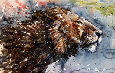 Lion watercolor painting animals predator king wildlife  clipart