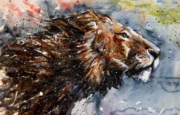 Lion Aquarelle Peinture Animaux Prédateur Roi Faune — Photo