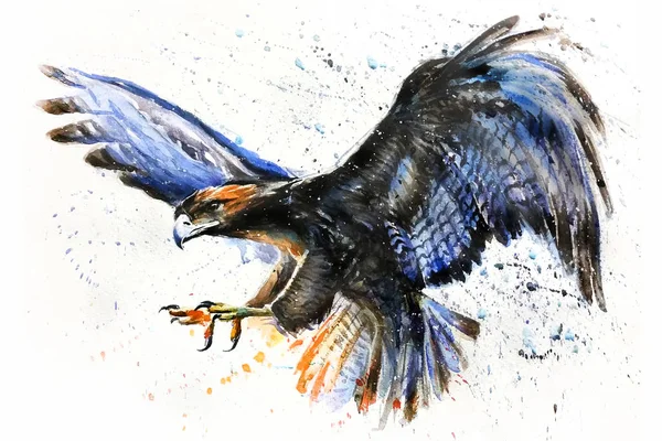 Aquila Acquerello Pittura Uccelli Cacciatore Predatore Fauna Selvatica — Foto Stock