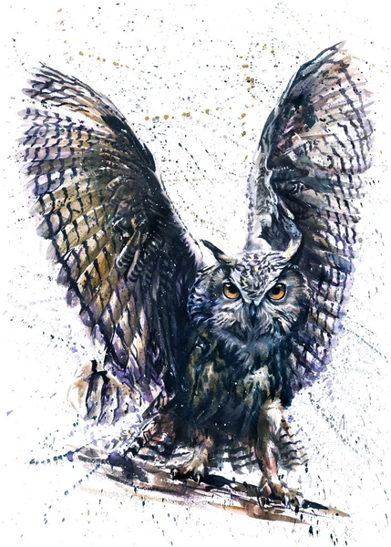 Owl Akvarell Målning Fåglar Natt Hunter Wildlife — Stockfoto