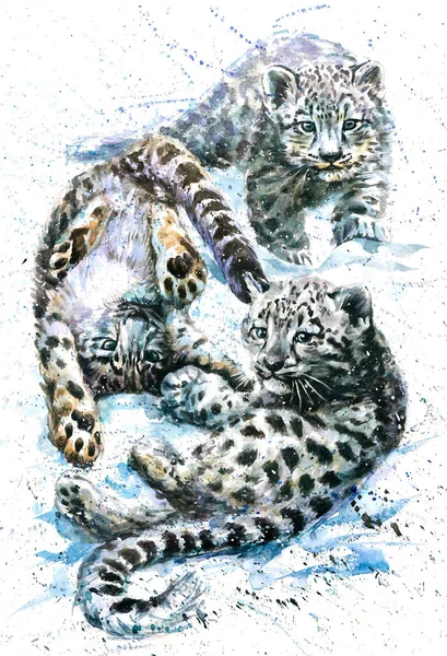 Λίγο Χιόνι Λεοπαρδάλεις Ακουαρέλα Ζωγραφική Ζώα Αρπακτικό Ζώο Γάτα Άγρια Royalty Free Εικόνες Αρχείου