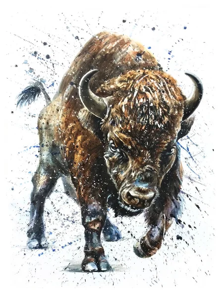 Buffalo Ακουαρέλα Ζωγραφική Άγρια Ζώα Royalty Free Φωτογραφίες Αρχείου