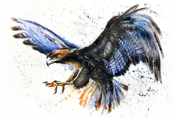 Αετός Ακουαρέλα Ζωγραφική Πουλιά Κυνηγός Κυνηγός Άγριας Ζωής Φωτογραφία Αρχείου