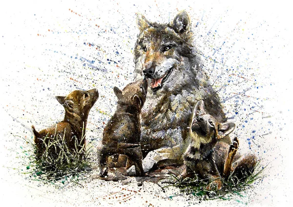 Λύκος Οικογένεια Ακουαρέλα Ζωγραφική Άγρια Ζώα Παιδιά Εικόνα Αρχείου