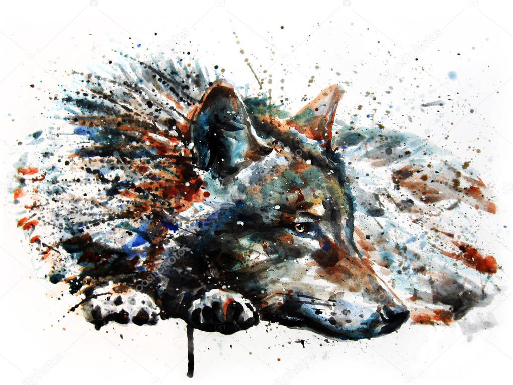 Wolf watercolor painting animals wildlife predator 