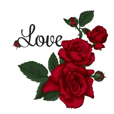 Düğün, doğum günü, Sevgililer Günü, Anneler Günü için kırmızı güllü kart. Aşk.