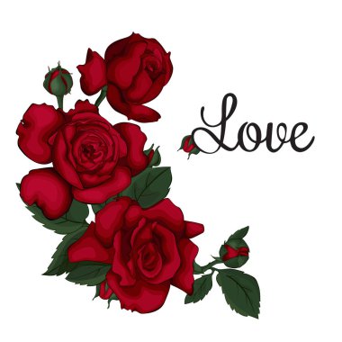 Düğün, doğum günü, Sevgililer Günü, Anneler Günü için kırmızı güllü kart. Aşk.