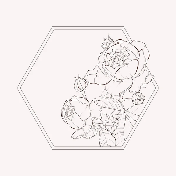 Квітучі Квіти Троянди Шестикутник Геометричної Форми Векторна Ілюстрація Ідеально Підходить — стоковий вектор