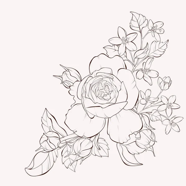 Vector Rose Flower Wild Flowers Element Design Hand Drawn Contour Royalty Free Stock Illustrations