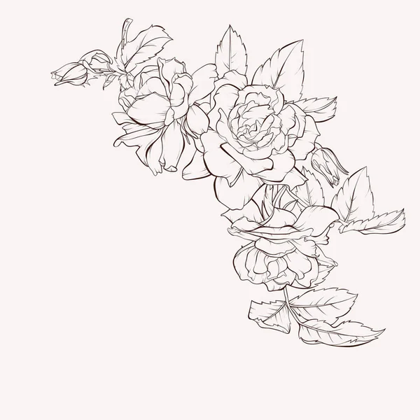 ベクトルバラの花が孤立しました。手描きの輪郭線とストローク. — ストックベクタ