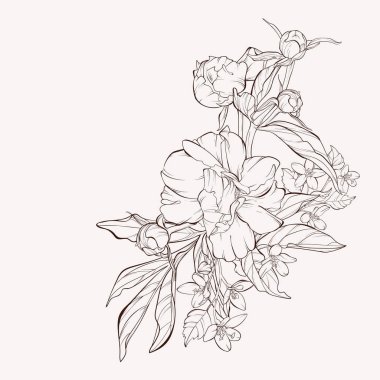 Sketch Çiçek Botanik Koleksiyonu. Vektör şakayık çiçek beyaz arka plan üzerinde izole.