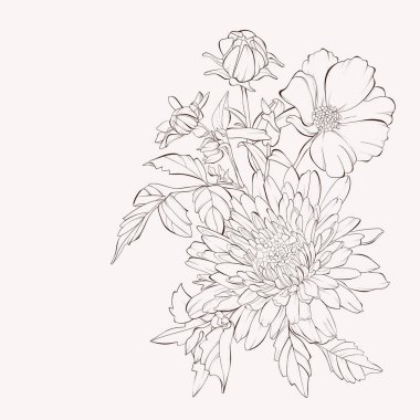 Vektör dahlia çiçek. Sonbahar çiçek buketi. Desig için eleman