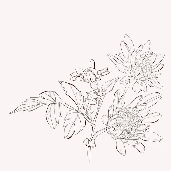 Векторна Квітка Далії Осінній Букет Квітів Елемент Дизайну Мальовані Контурні Стоковий вектор