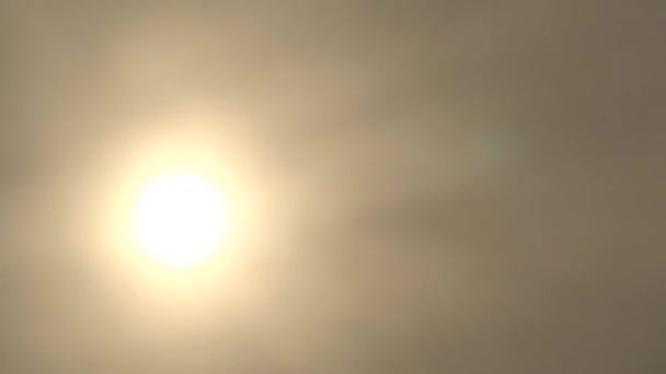 Temps chaud journée sèche ensoleillée 