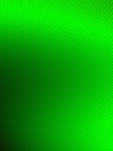 模糊绿色网页标题抽象能量背景 — 图库照片