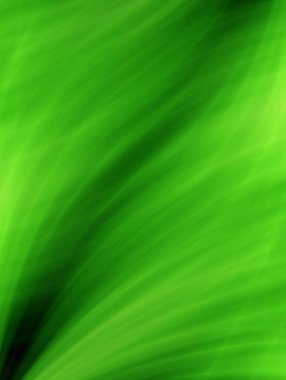 Yaprak doku soyut sıradışı taze arka plan