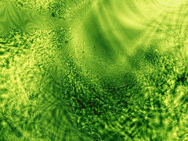 Art green fractal nature graphic background
