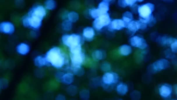 Night Blue Deep Bokeh Tak Boom Video — Stockvideo