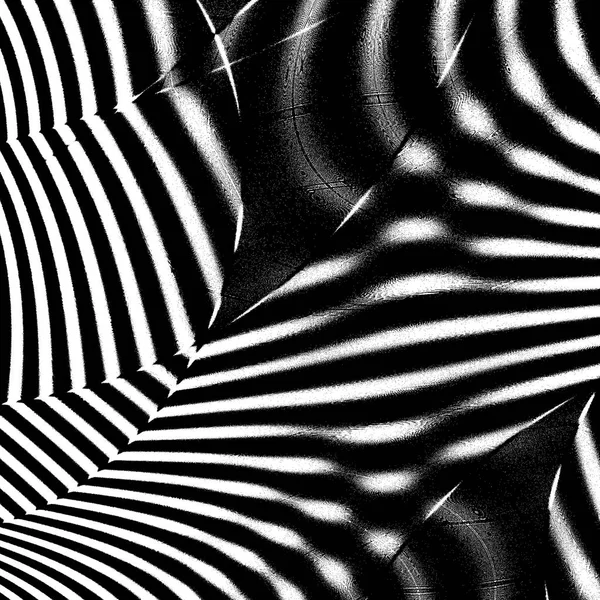 Zebra Decorazione Arte Astratta Grafica Sfondo Monocromatico — Foto Stock