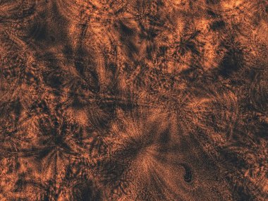 Ahşap grunge sanat grafik web sitesi modern desen