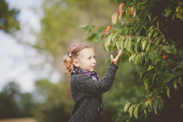 Portrait Cute Adorable Little Girl — Stock Photo, Image